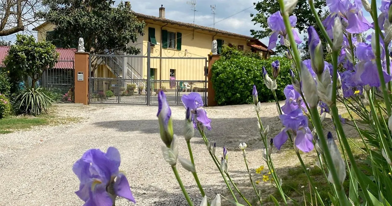New Apartment Immersed In Nature With Pool San Miniato